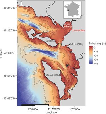 The Vertical Migratory Rhythm of Intertidal Microphytobenthos in Sediment Depends on the Light Photoperiod, Intensity, and Spectrum: Evidence for a Positive Effect of Blue Wavelengths
